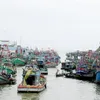 Mekong Delta suffers flood damage