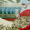 Vietnam becomes largest shrimp provider in RoK