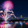 Da Nang fireworks festival promotes tourism