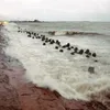 First storm formed in East Sea