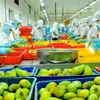 Export of fruits and vegetables to exceed 3 billion USD