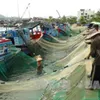 Heavy sanctions on illegal fishing