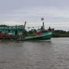 No contact with 28 offshore boats near Ca Mau