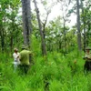 Development prospect for forest grown for economic purposes