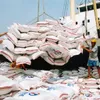 Rice exports on sharp rise