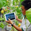 Experts welcome shift in credit policy for hi-tech agriculture