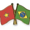 Vietnam and Brazil hold political consultation