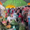 Fruit garden festival opens in Can Tho