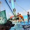 Government to tighten fishing regulations