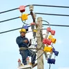 Electricity provider makes 110.3 million USD profit