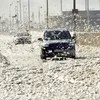 Ophelia storm caused damages to Ireland