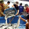 Measures to stop illegal fishing