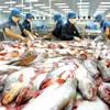 New barriers for Vietnamese pangasius fish