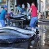 Vietnam exports tuna to 140 countries