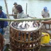 New barriers for vietnamese catfish exports