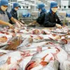 Food safety required for Vietnam's catfish imports to the US