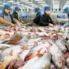 Measures to foster tra fish export