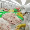 Vietnam objects to US tariff rate on frozen Tra fish fillets