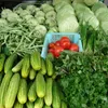 Vietnamese vegetable exports increase by 46.5%