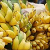 Increased demand for Vietnamese bananas