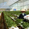 1,4 billion USD disbursed for high tech agriculture