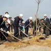 State President launches tree planting festival