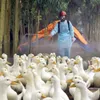 Bird flu outbreak found at a Vietnamese farm