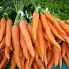 Vietnam exports carrots to Malaysia