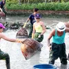 Developing sustainable tourism in Tam Thanh village