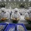 Vietnam objects to US tariff rate on frozen Tra fish fillets