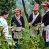 Medicinal plant quality improvements