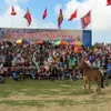 Unique horse race festival in Phu Yen