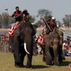 Central highlands’s elephant and boat race