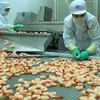 EU becomes largest importer of Vietnamese shrimp