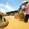 Vietnamese rice exports to China face difficulties