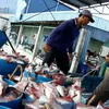 EU issues yellow card over illegal fishing