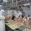 Vietnamese chickens to reach more markets