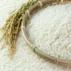 Rice export volume to surpass target