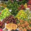 Export potential of Vietnamese fruits