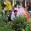 Tet flower market in Hanoi