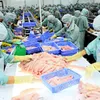 Fish exporters face difficulties in hitting year-end goal