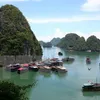 Australian tourist dies in Hạ Long Bay