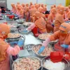 Việt Nam slams Australia’s prawn ban