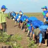 Climate policy hub opens in Hà Nội