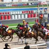 Đại Nam racecourse inaugurated in Bình Dương Province