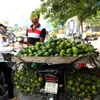 Ban on street fruit stands proposed