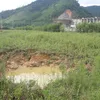 10 sinkholes appear near Quảng Bình power plant