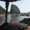 OK for coal trans-shipment port