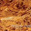 Thanh Hóa finds 1m-long bomb