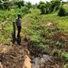 Irrigation channel unused amidst drought